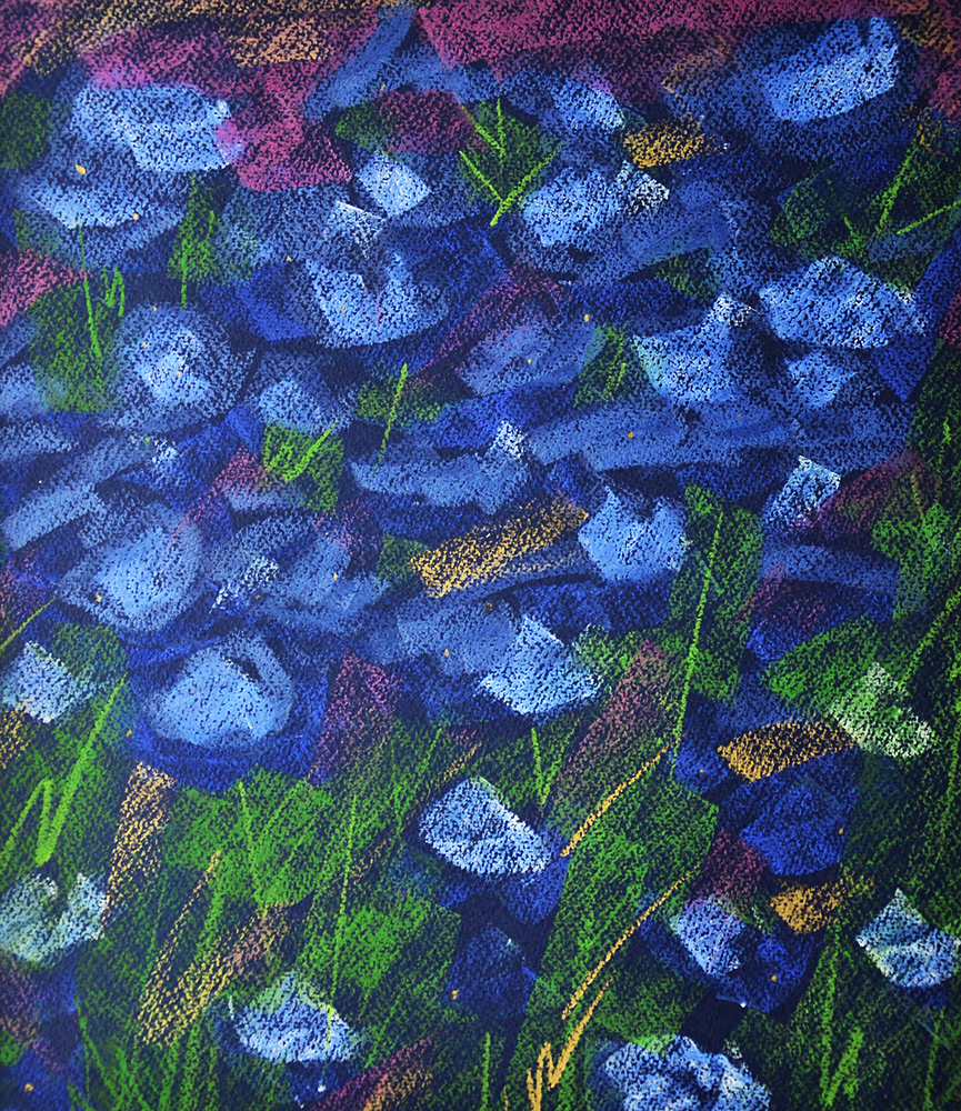 Із серії «Квіти». 2013. Папір, пастель